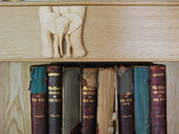 Bookcase Motif