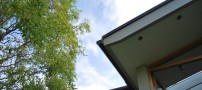 Garden Building Roofline
